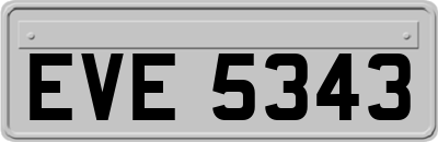EVE5343
