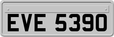 EVE5390