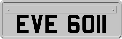EVE6011