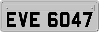 EVE6047