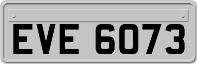 EVE6073