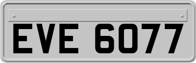 EVE6077