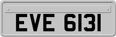 EVE6131