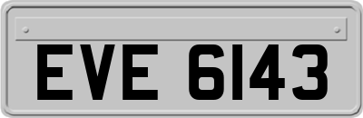 EVE6143