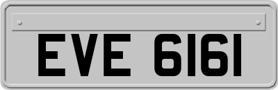 EVE6161
