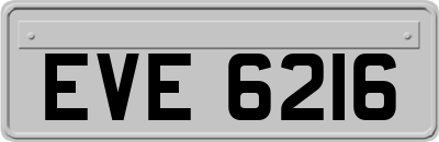 EVE6216