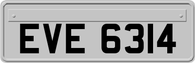EVE6314