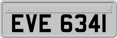 EVE6341