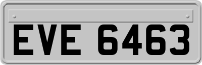 EVE6463