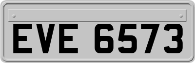 EVE6573