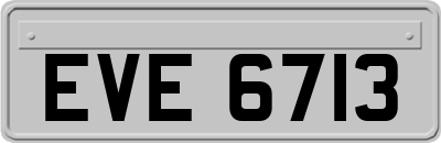 EVE6713
