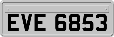 EVE6853