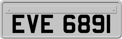 EVE6891