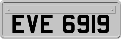 EVE6919