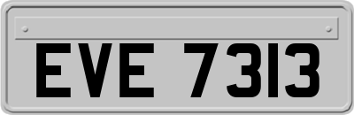 EVE7313