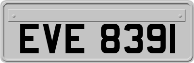 EVE8391