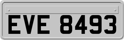 EVE8493