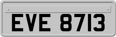 EVE8713