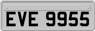 EVE9955