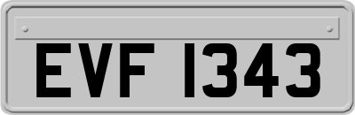EVF1343