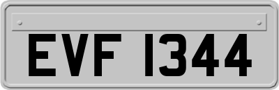 EVF1344