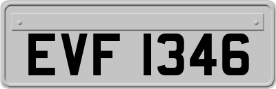 EVF1346