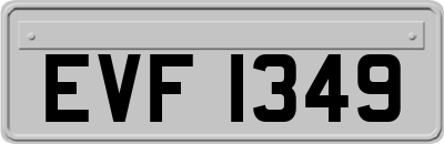 EVF1349