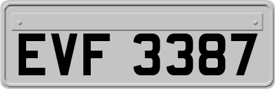 EVF3387