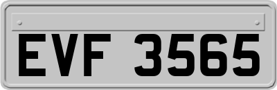 EVF3565