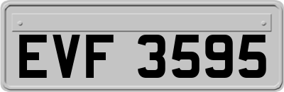 EVF3595