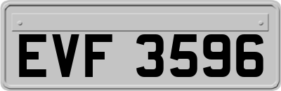 EVF3596
