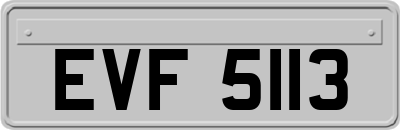 EVF5113