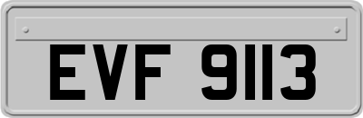 EVF9113