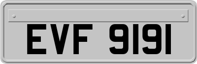 EVF9191