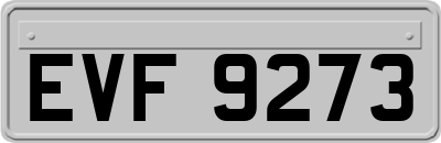 EVF9273