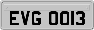 EVG0013