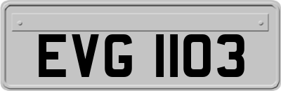 EVG1103