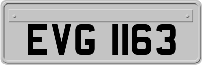 EVG1163
