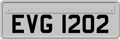 EVG1202