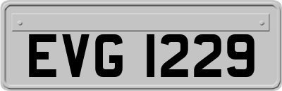 EVG1229