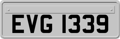 EVG1339