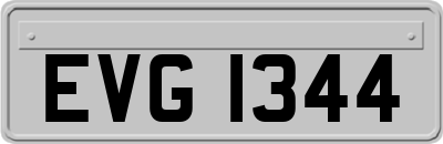 EVG1344