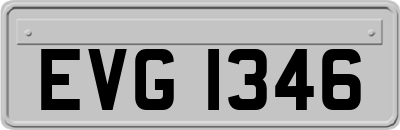 EVG1346