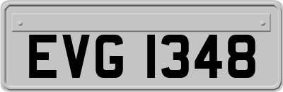 EVG1348