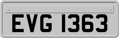 EVG1363