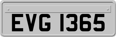 EVG1365