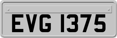 EVG1375
