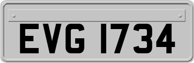 EVG1734
