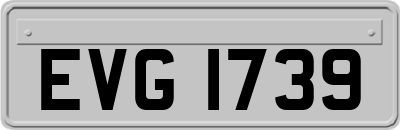 EVG1739