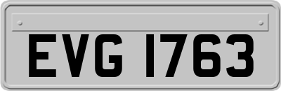 EVG1763
